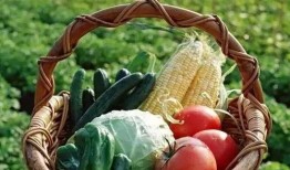 体育圈的天花板 51今日吃瓜大瓜fun 吃瓜视频在线,今日吃瓜大瓜fun，独家视频揭秘精彩瞬间