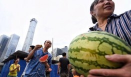 朝阳吃瓜群众网